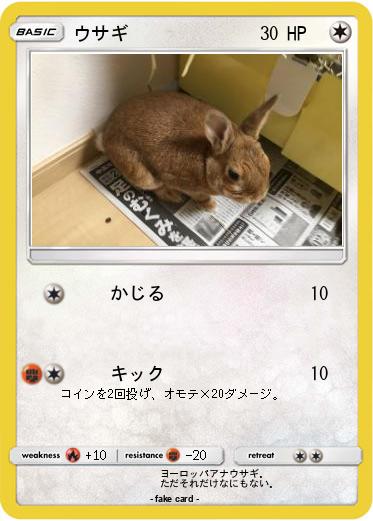 Pokemon ウサギ