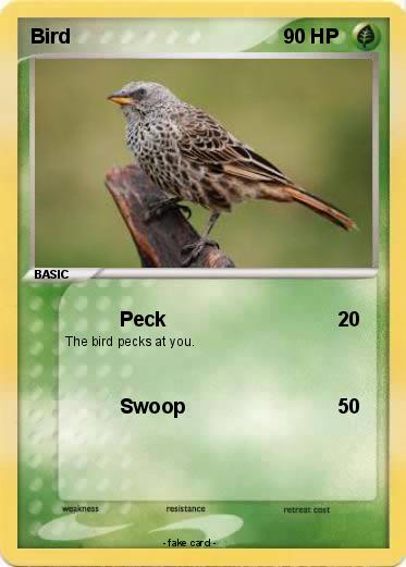 Pokemon Bird