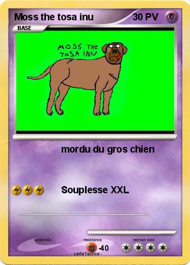 Pokemon Moss the tosa inu