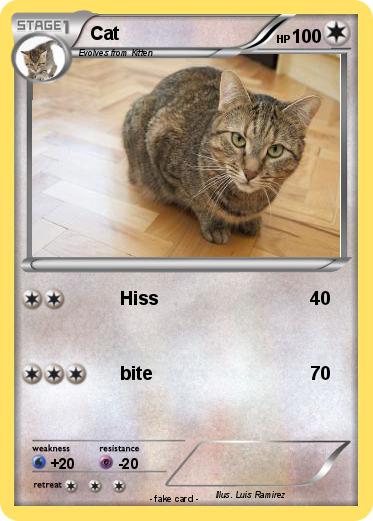 Pokemon Cat