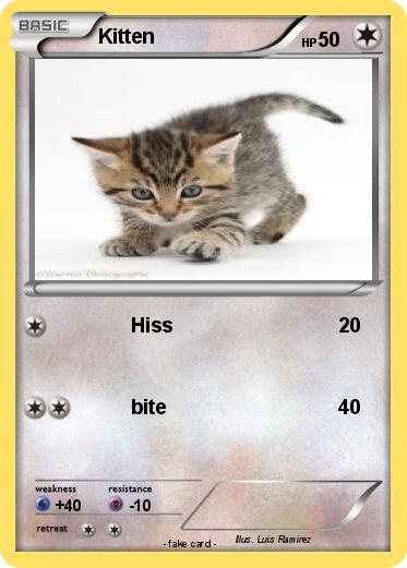 Pokemon Kitten
