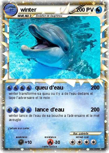 Pokemon winter