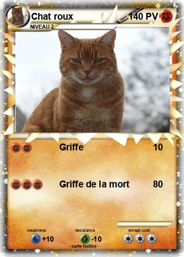 Pokemon Chat roux