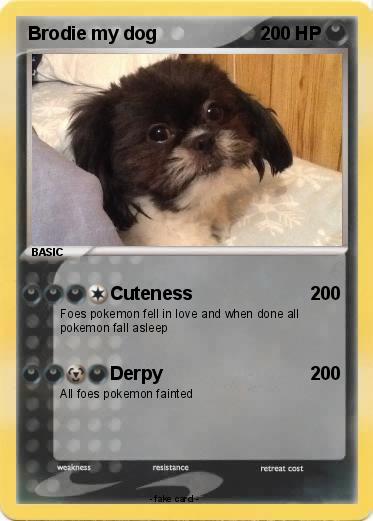 Pokemon Brodie my dog