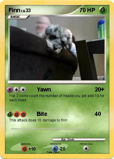 Pokemon Finn