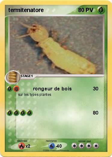 Pokemon termitenatore