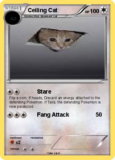 Pokemon Ceiling Cat