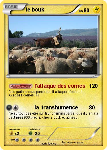 Pokemon le bouk