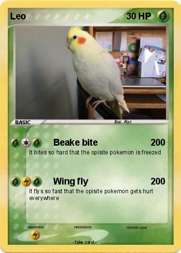 Pokemon Leo