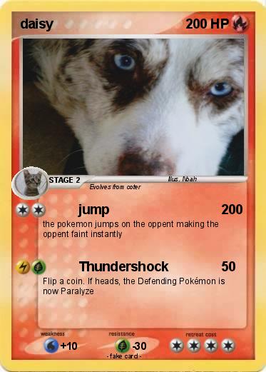Pokemon daisy