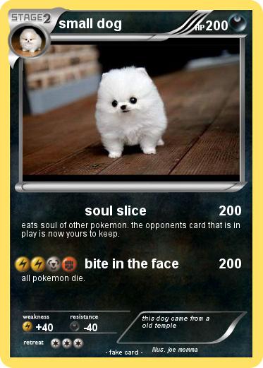 Pokemon small dog