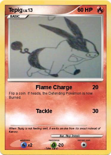 Pokemon Tepig