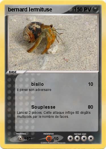 Pokemon bernard lermituse