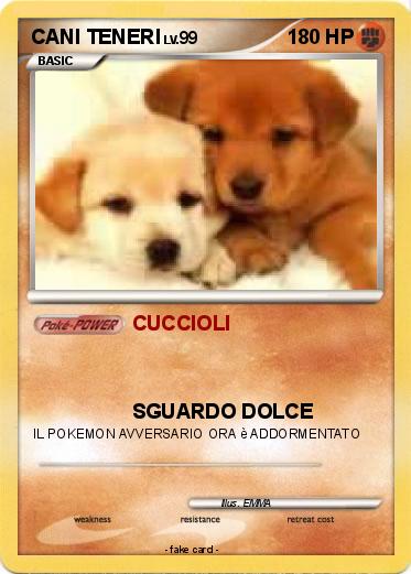 Pokemon CANI TENERI