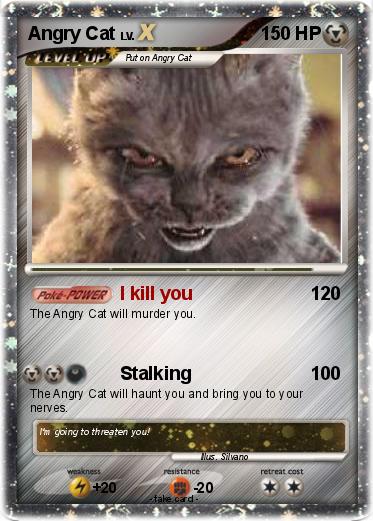Pokemon Angry Cat