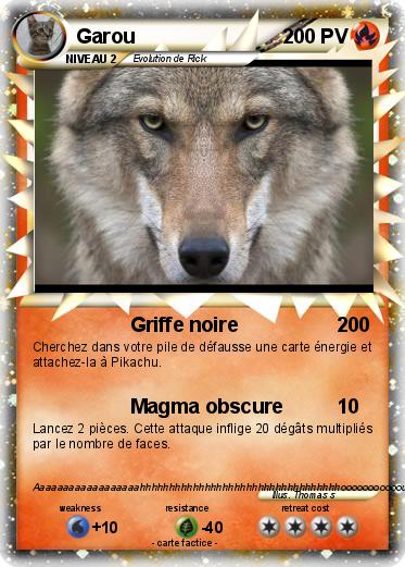 Pokemon Garou