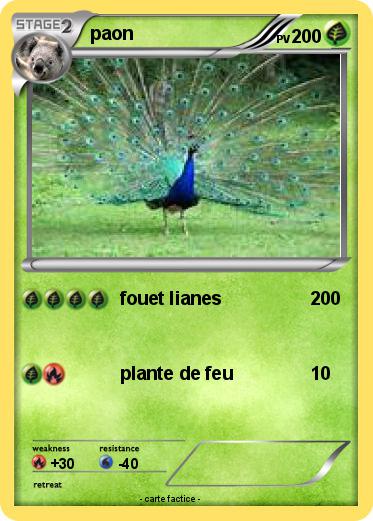 Pokemon paon