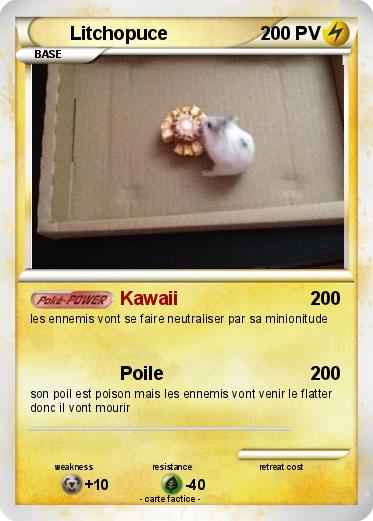 Pokemon Litchopuce