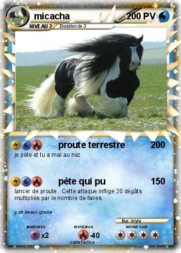 Pokemon micacha
