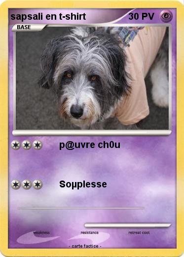 Pokemon sapsali en t-shirt