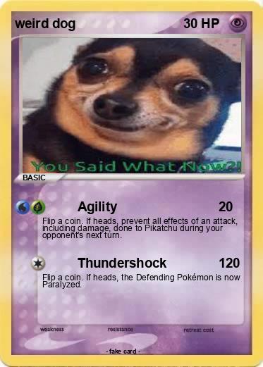 Pokemon weird dog
