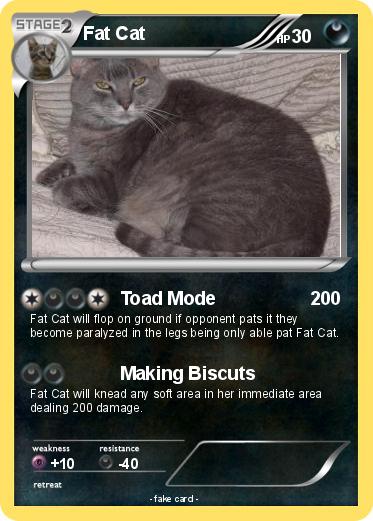 Pokemon Fat Cat