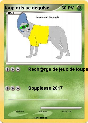 Pokemon loup gris se déguisé