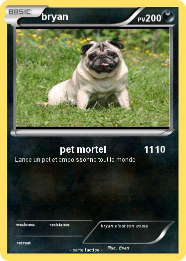 Pokemon bryan