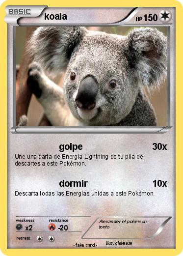 Pokemon koala