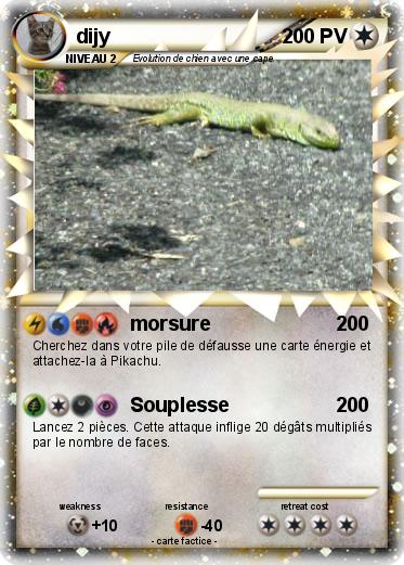 Pokemon dijy