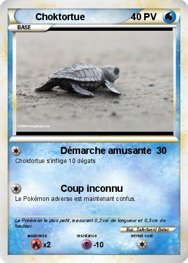 Pokemon Choktortue