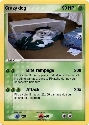 Pokemon Crazy dog