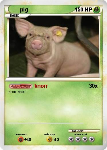 Pokemon pig