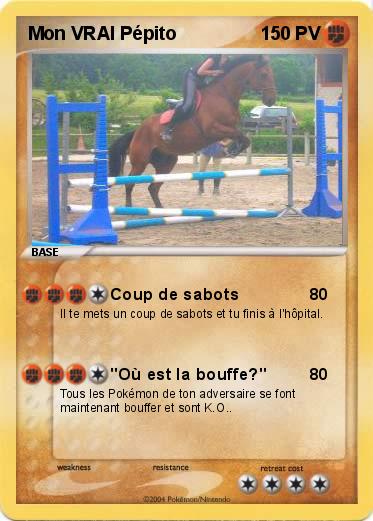 Pokemon Mon VRAI Pépito