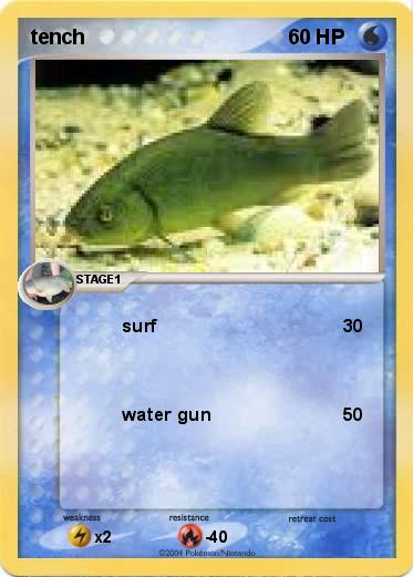 Pokemon tench