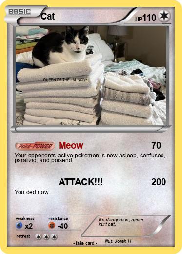 Pokemon Cat