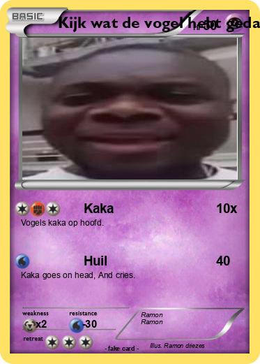 Pokemon Kijk wat de vogel hebt gedaan