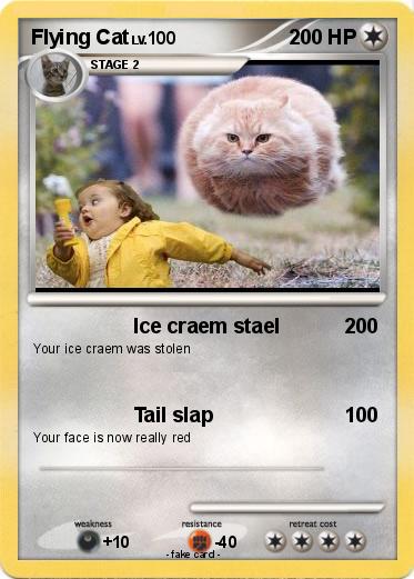 Pokemon Flying Cat