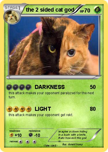 Pokemon the 2 sided cat god