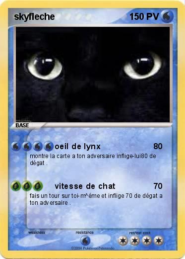 Pokemon skyfleche