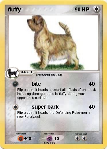 Pokemon fluffy