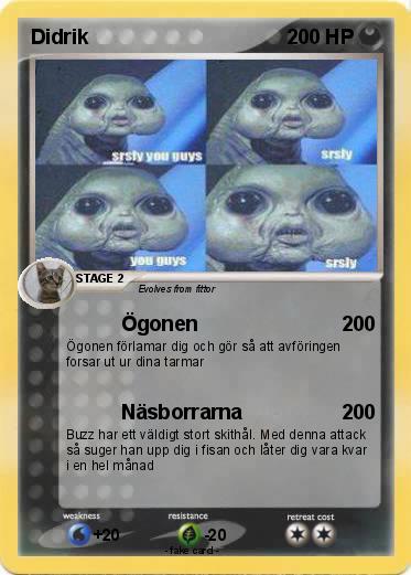 Pokemon Didrik