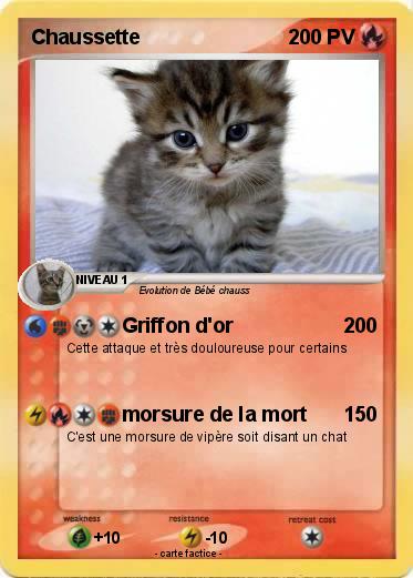 Pokemon Chaussette
