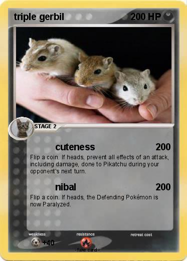 Pokemon triple gerbil
