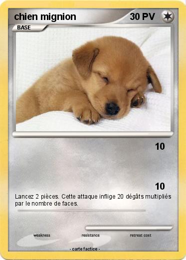 Pokemon chien mignion
