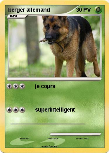 Pokemon berger allemand