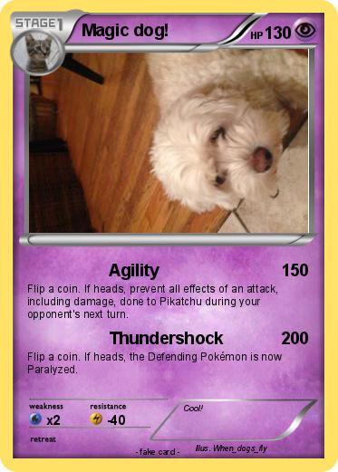 Pokemon Magic dog!