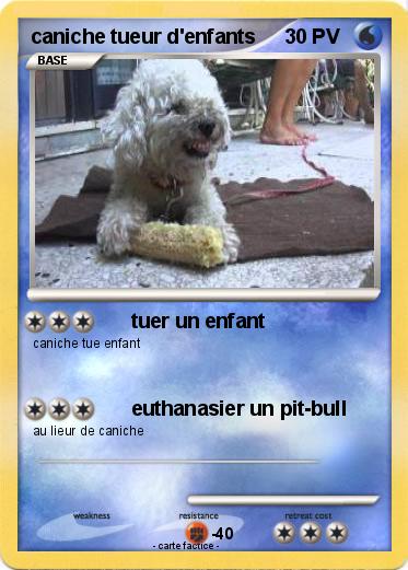 Pokemon caniche tueur d'enfants