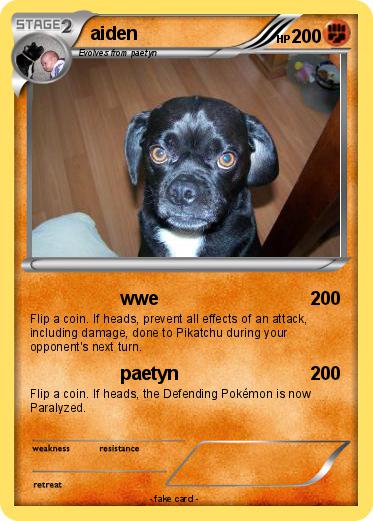 Pokemon aiden
