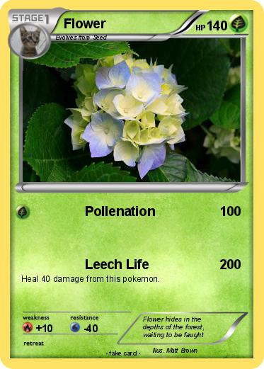 Pokemon Flower